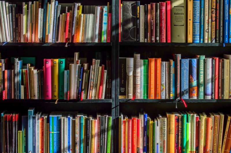 boutique-RAMATUELLE-min_books_bookstore_book_reading_shop_writer_sale_books_read-822866
